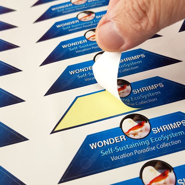 طباعة استيكرات لاصقة أشكال